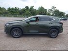 2024 Lexus Nx 250   Зеленый vin: 2T2ADCAZ6RC008738