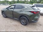 2024 Lexus Nx 250   Зеленый vin: 2T2ADCAZ6RC008738