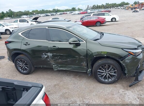2T2ADCAZ6RC008738 2024 LEXUS NX 250 Зеленый Вид задней части салона