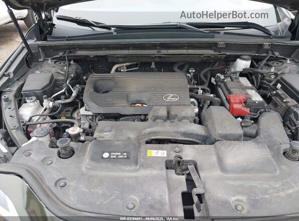 2T2ADCAZ6RC008738 2024 LEXUS NX 250 Зеленый Вид сзади