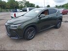 2024 Lexus Nx 250   Зеленый vin: 2T2ADCAZ6RC008738