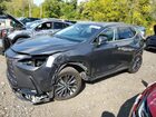 2024 Lexus Nx 250 Base Gray vin: 2T2ADCAZ8RC007929