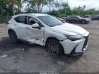2025 Lexus Nx 250   White vin: 2T2ADCAZXSC029193