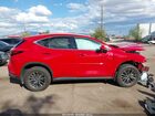 2022 Lexus Nx 250 Красный vin: 2T2ADCEZ5NC001428