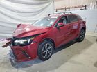 2024 Lexus Rx 350 Base Red vin: 2T2BAMCA4RC056345