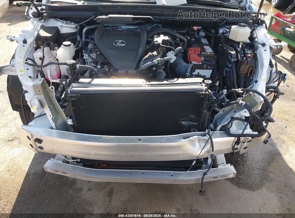 2T2BAMCA5RC067001 2024 LEXUS RX 350 Белый Вид сзади