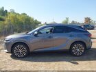 2023 Lexus Rx 350 Premium Plus Gray vin: 2T2BAMCAXPC024822