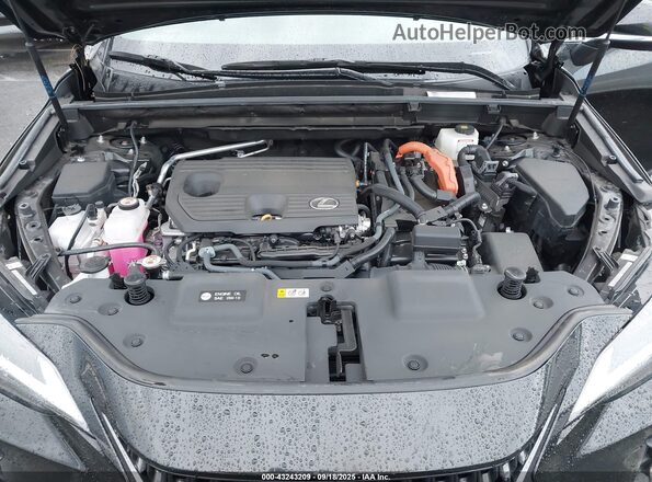 2T2GKCEZ0RC027425 2024 LEXUS NX Черный Вид сзади