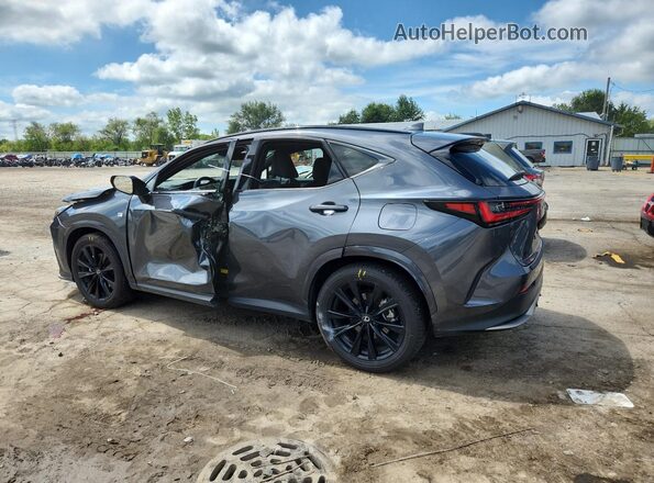 2T2KGCEZ2SC068110 2025 LEXUS NX Серый Задняя левая четверть