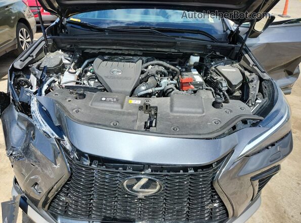 2T2KGCEZ2SC068110 2025 LEXUS NX Серый Вид задней части салона