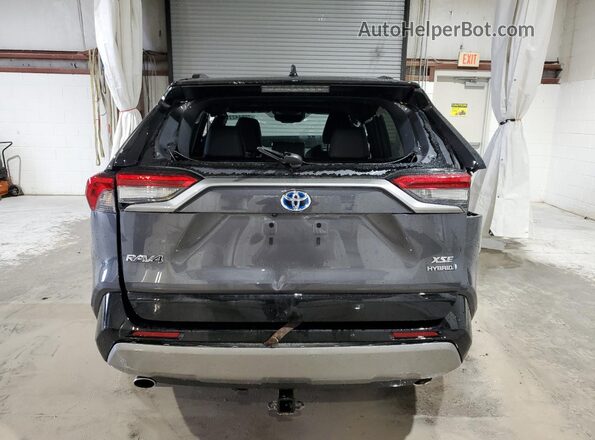 2T3E6RFV1RW065783 2024 TOYOTA RAV4 Gray უკანა ხედი