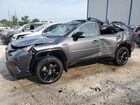 2021 Toyota Rav4 Xse Gray vin: 2T3E6RFV6MW005393
