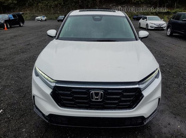 2HKRS4H41SH453288 2025 HONDA CRV White Հետևի տեսք
