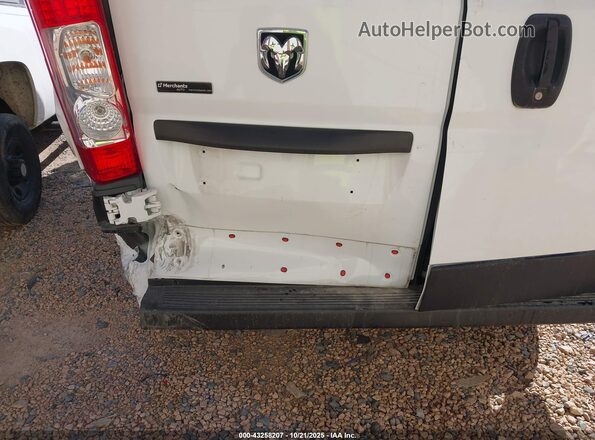 3C6TRVDG7LE121845 2020 RAM PROMASTER 2500 Белый 
