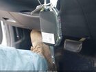 2023 Kia Forte Lxs Белый vin: 3KPF24AD4PE645247 2023 Kia Forte Lxs Белый vin: 3KPF24AD4PE645247