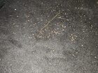 2024 Mazda 3 Select Sport Синий vin: 3MZBPABM4RM427120 Damage: Right Front Carpet, Water Damage, Replacement Required