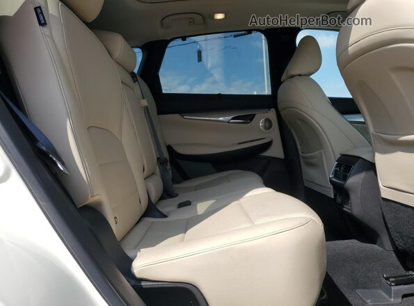 3PCAJ5CA8MF101037 2021 INFINITI QX50 White Вид задньої частини салону