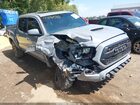 2020 Toyota Tacoma Trd Sport Gray vin: 3TMCZ5AN3LM338116