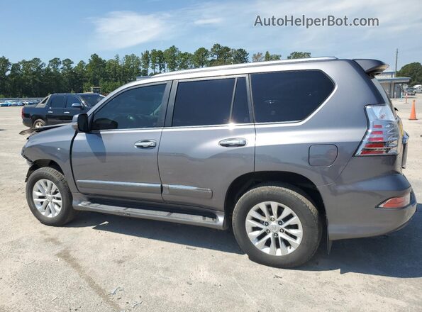 JTJBM7FX0H5161261 2017 LEXUS GX Gray Задня права чверть