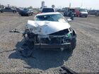 2016 Toyota Avalon Touring Белый vin: 4T1BK1EB8GU240334