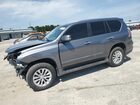 2017 Lexus Gx 460 Gray vin: JTJBM7FX0H5161261