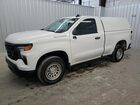 2023 Chevrolet Silverado C1500 White vin: 3GCNAAEK2PG351064