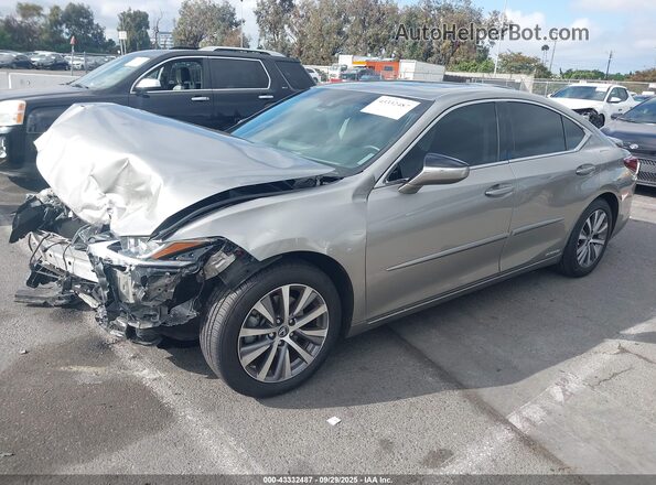 58AD21B16LU007981 2020 LEXUS ES 300H Серебряный Передняя левая четверть