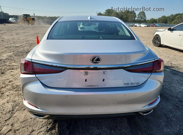 58ADZ1B10LU065905 2020 LEXUS ES Silver Вид ззаду