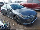 2024 Lexus Es 350   Gray vin: 58ADZ1B19RU181810