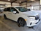 2022 Honda Odyssey Ex White vin: 5FNRL6H50NB043263 2022 Honda Odyssey Ex White vin: 5FNRL6H50NB043263