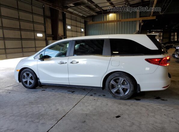 5FNRL6H50NB043263 2022 HONDA ODYSSEY White Задня ліва чверть