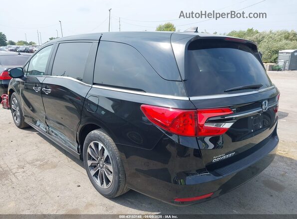 5FNRL6H60RB022556 2024 HONDA ODYSSEY Black Задня ліва чверть