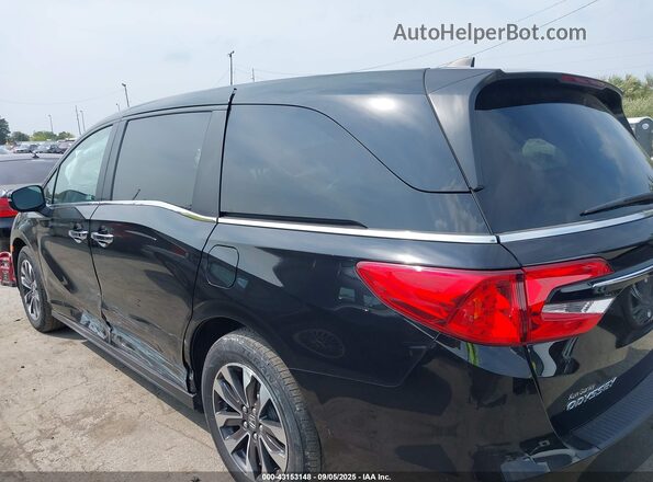 5FNRL6H60RB022556 2024 HONDA ODYSSEY Black Панорамний вид салону 360°