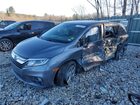 2018 Honda Odyssey Exl Gray vin: 5FNRL6H79JB011603