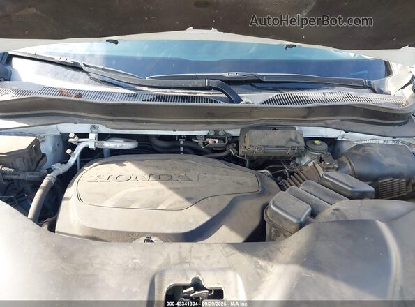 5FNYF5H54MB011668 2021 HONDA PILOT Белый Вид сзади