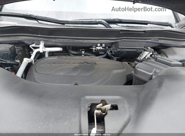5FNYF7H98MB012921 2021 HONDA PASSPORT Серый Вид сзади