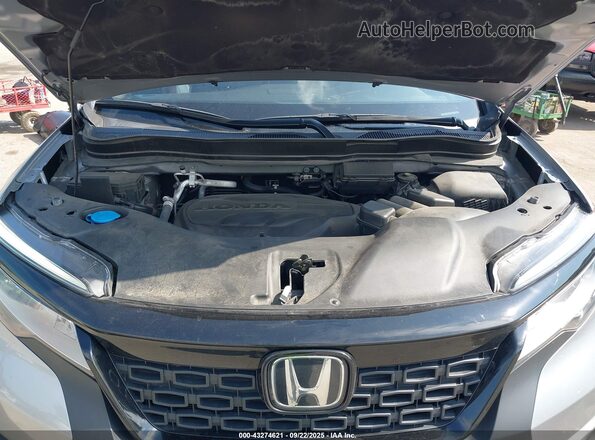 5FNYF8H95MB040164 2021 HONDA PASSPORT Серый Вид сзади