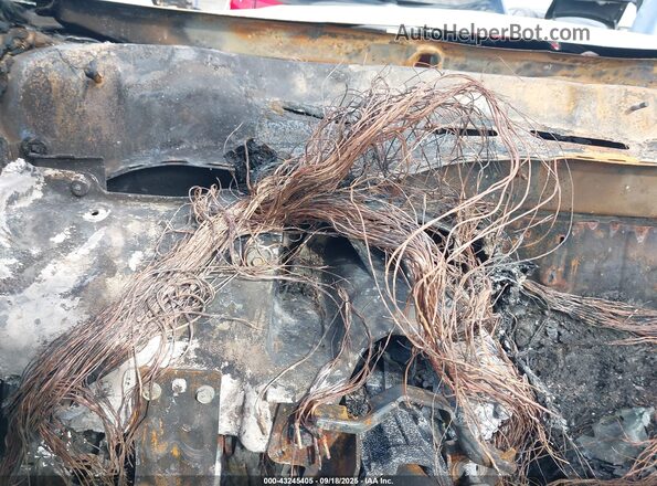 5FPYK3F88PB051812 2023 HONDA RIDGELINE Серый Вид задних сидений