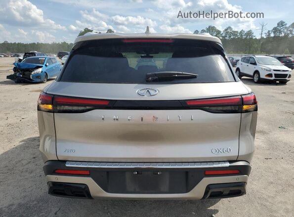 5N1DL1FS5PC350817 2023 INFINITI QX60 Charcoal Вид ззаду