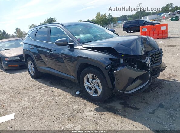 5NMJBCAE8PH286149 2023 HYUNDAI TUCSON Серый Передняя правая четверть