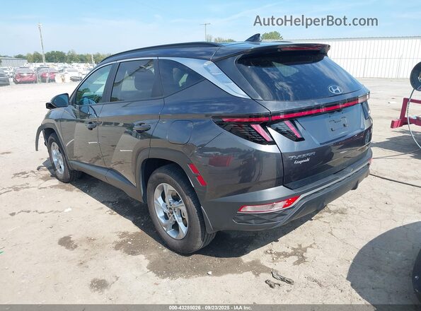 5NMJBCAE8PH286149 2023 HYUNDAI TUCSON Серый Задняя левая четверть