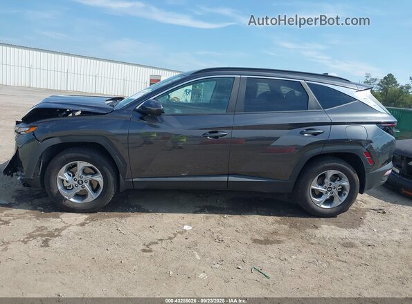 5NMJBCAE8PH286149 2023 HYUNDAI TUCSON Серый 