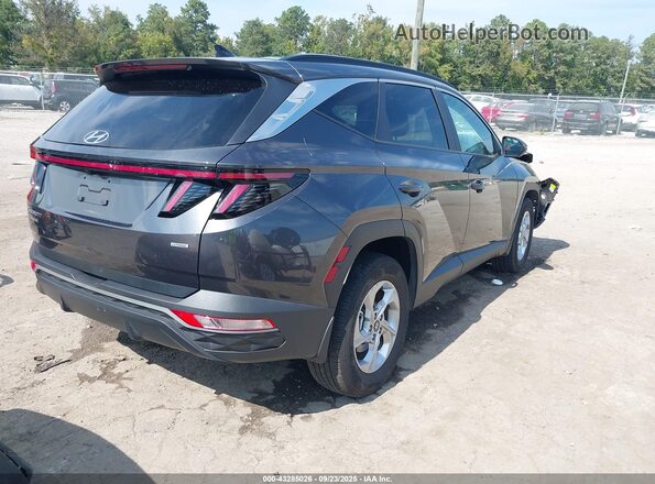 5NMJBCAE8PH286149 2023 HYUNDAI TUCSON Серый Задняя правая четверть