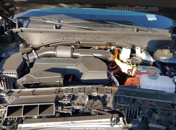 5NMP3DG16SH030585 2025 HYUNDAI SANTA FE HYBRID Черный Вид сзади