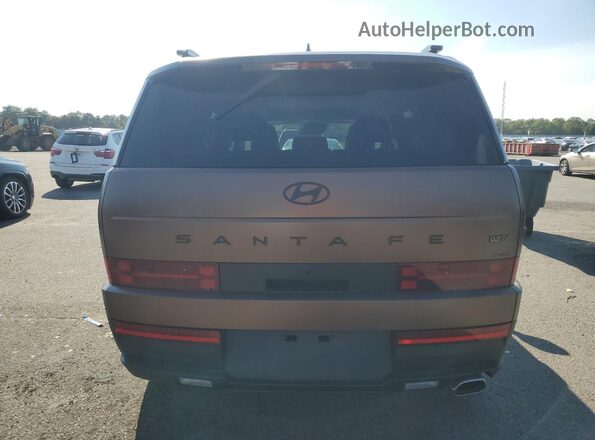 5NMP3DGL1SH126206 2025 HYUNDAI SANTA Brown უკანა ხედი