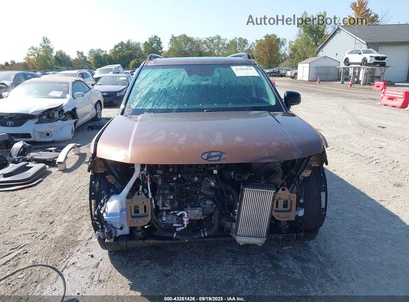 5NMP3DGL2RH050926 2024 HYUNDAI SANTA FE Коричневый Вид задней части салона