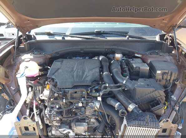 5NMP3DGL2RH050926 2024 HYUNDAI SANTA FE Коричневый Вид сзади