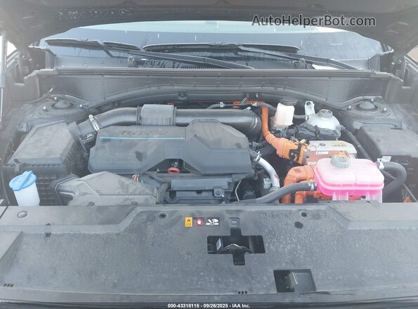 5NMP54G11SH024249 2025 HYUNDAI SANTA FE HYBRID Black Widok z tyłu