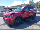 2025 Hyundai Santa Fe Hybrid Calligraphy Red vin: 5NMP5DG19SH021390