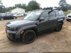 2024 Hyundai Santa Fe Calligraphy Gray vin: 5NMP5DGL5RH064037
